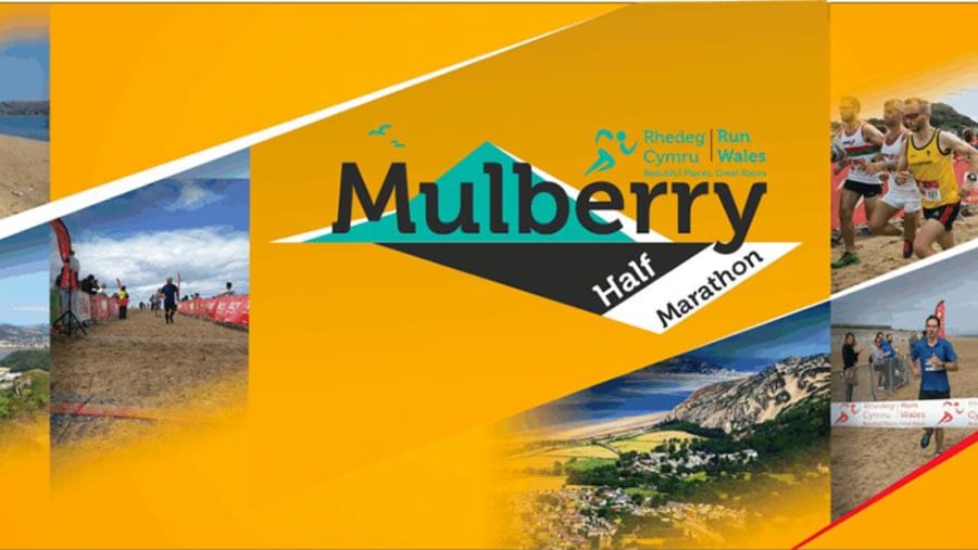 Mulberry Half (Conwy)